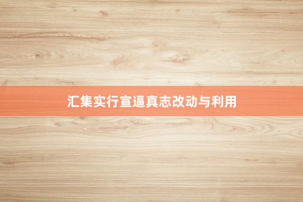 汇集实行宣逼真志改动与利用