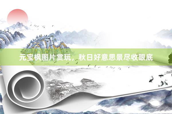 元宝枫图片赏玩，秋日好意思景尽收眼底