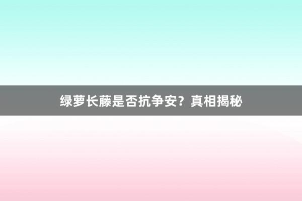 绿萝长藤是否抗争安？真相揭秘