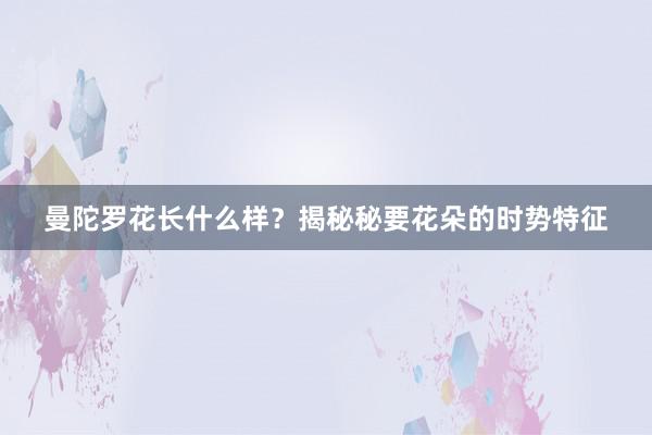 曼陀罗花长什么样？揭秘秘要花朵的时势特征