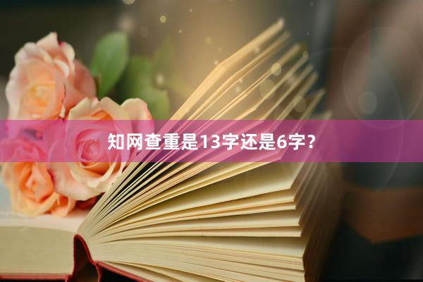 知网查重是13字还是6字？